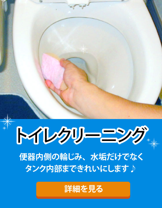 トイレクリーニング