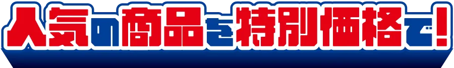 人気商品を特別価格で