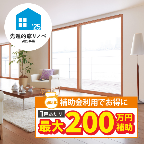 内窓(先進的窓リノベ)