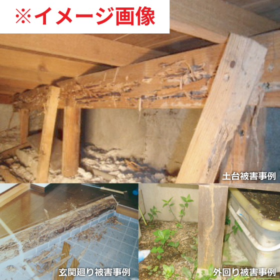 シロアリ防除工事