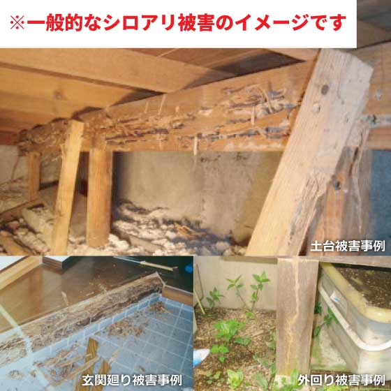 シロアリ防除工事