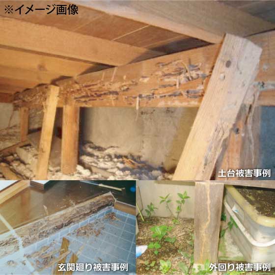 シロアリ防除工事