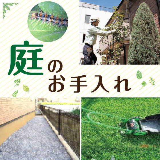 庭のお手入れ
